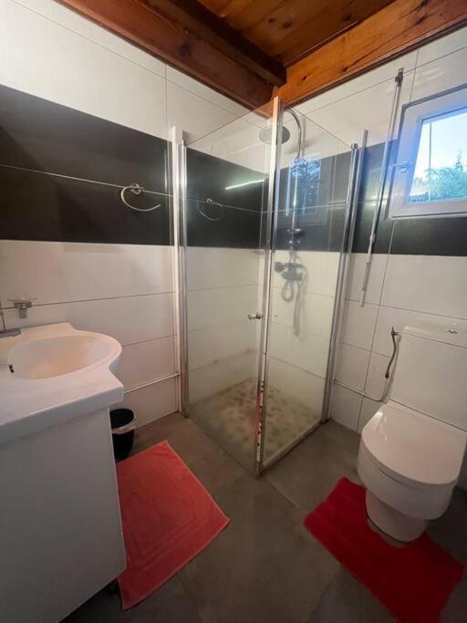 Le Tournesol By Egl Immo Apartment Saint-Pierre ภายนอก รูปภาพ